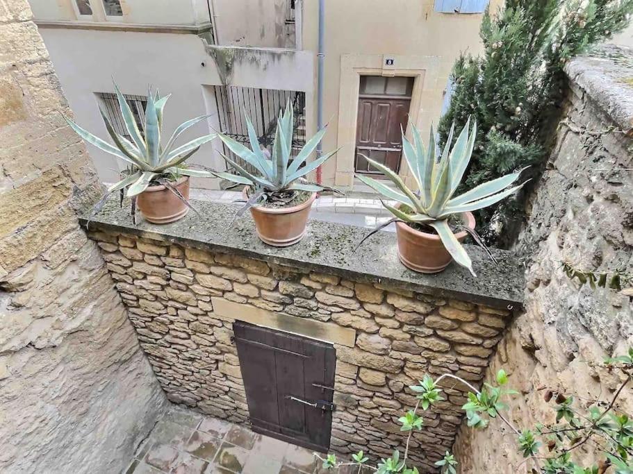 Chez Lydia - Loft Cosy, Depart Canoe A Pied, Proche Pont-Du-Gard Et Uzes ルムーラン エクステリア 写真